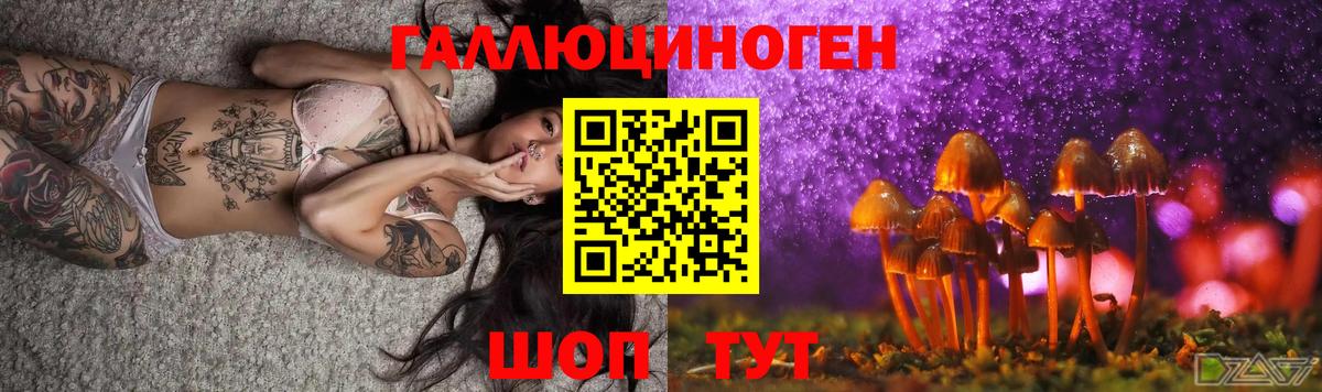 Галлюциногенные грибы Magic Shrooms  Вход с VPN  Псилоцибиновые грибы мицелий  Александров 