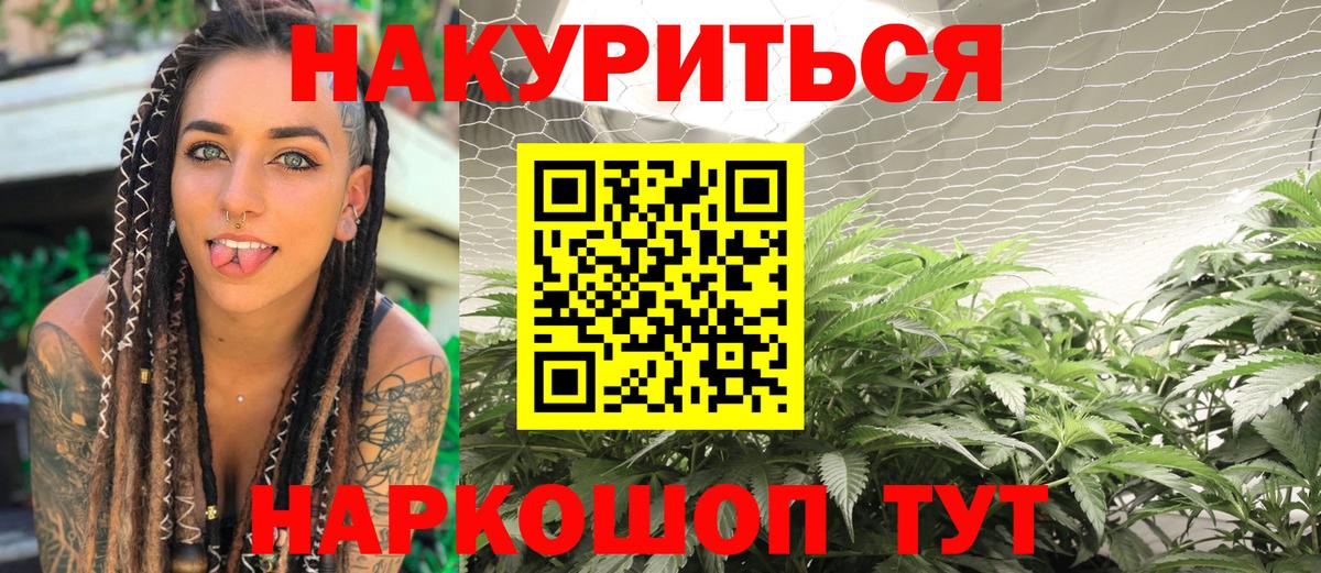 Бошки марихуана планчик Александров